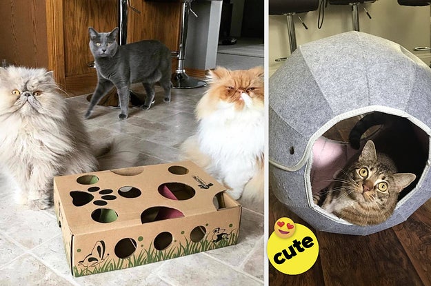 best cat toys to keep them busy