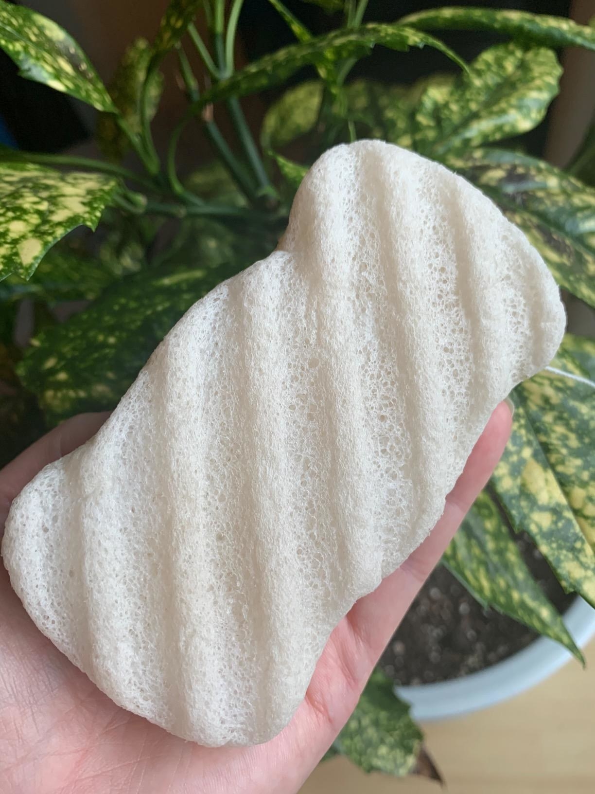 close-up of reviewer holding the white textured sponge