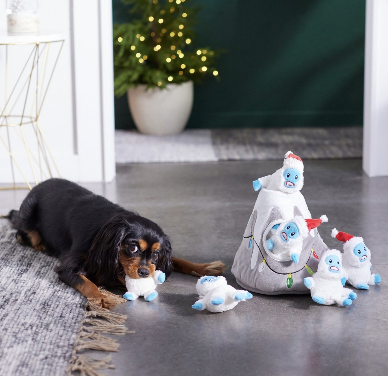 a dog playing with the yeti mountain toy