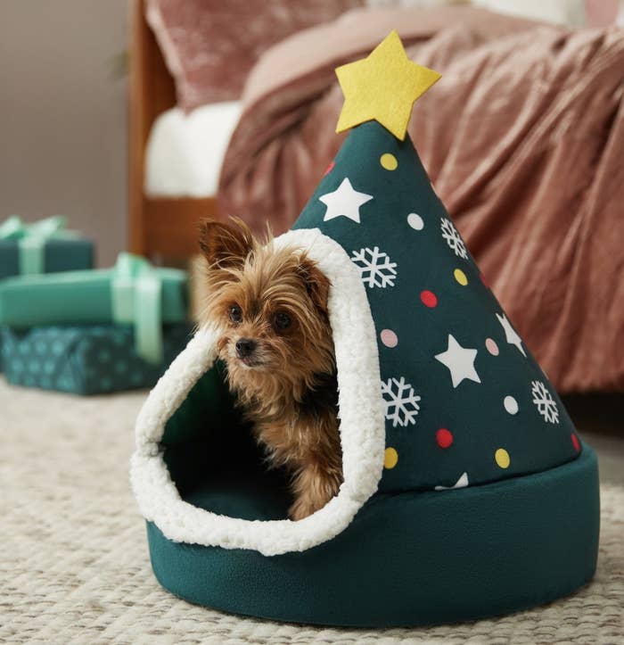 A dog in the christmas tree-shaped cave bed
