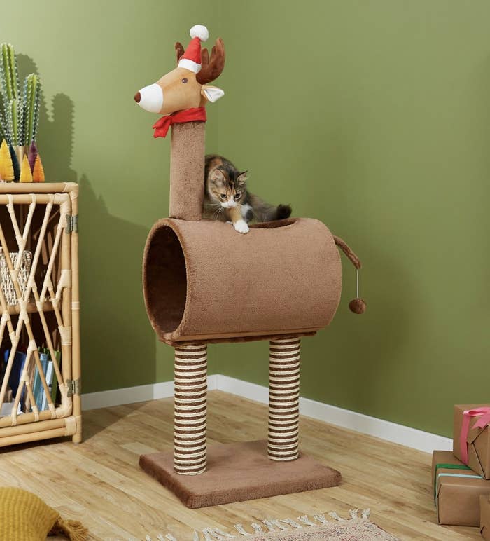 a cat on the reindeer cat tree