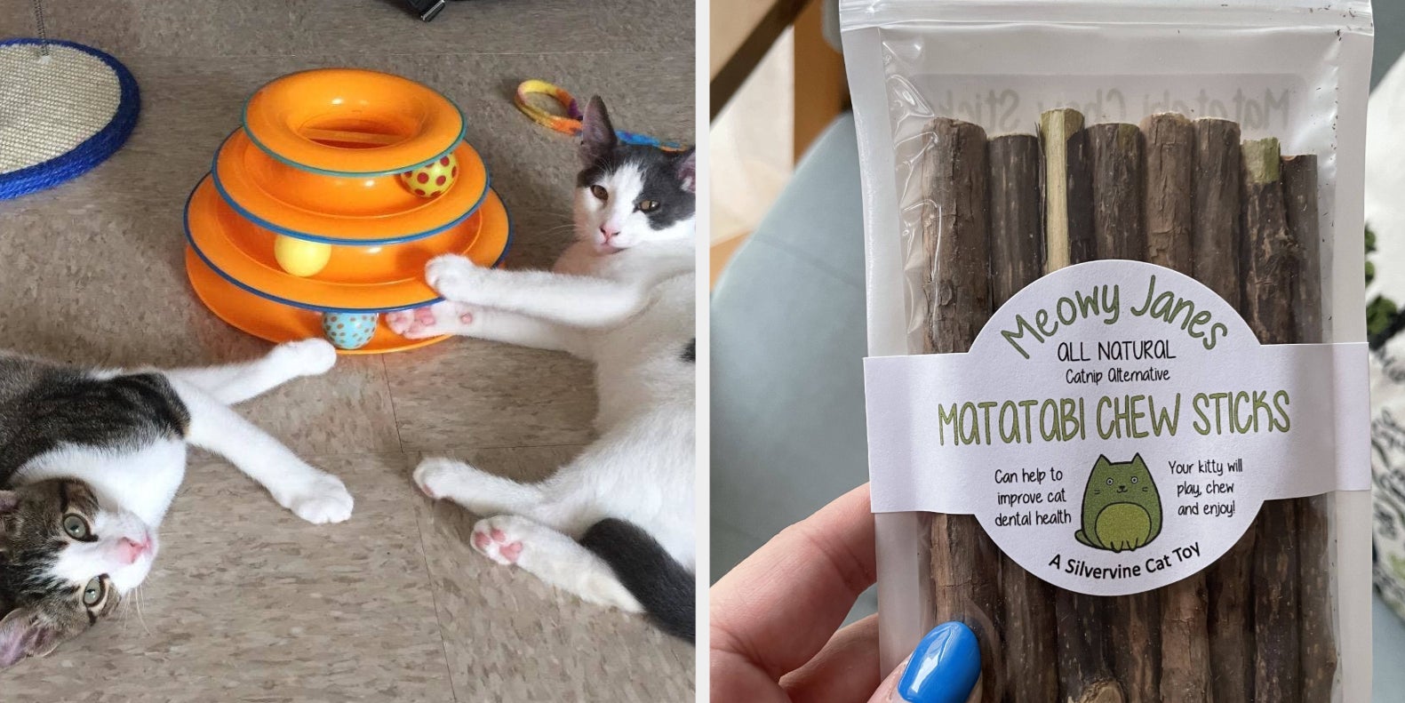 Meowy Janes Matatabi Chew Sticks - An All Natural Silvervine Cat Toy and  Cat Treat - Catnip Alternative