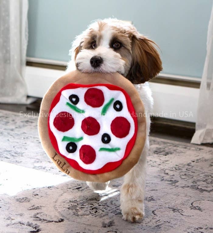 Dog holding a plush pizza toy that says &quot;LuLu&quot; in its mouth