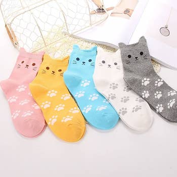 The five pairs of cat socks in assorted colors