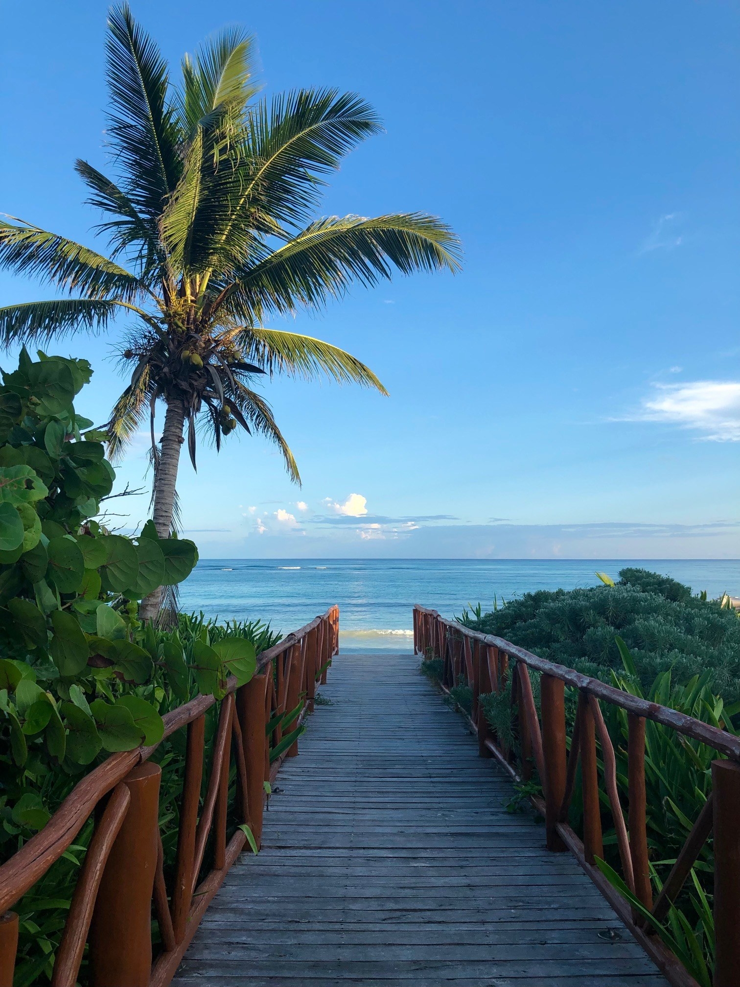 path leading to the beach