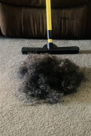 rubber broom beside large pile of border collie fur pulled from carpet