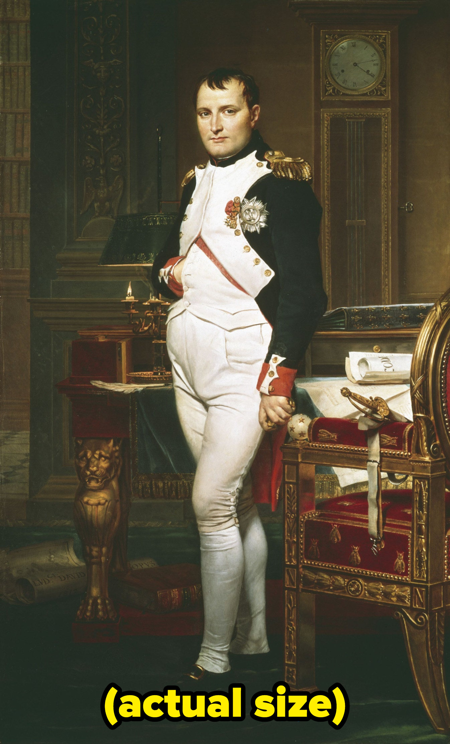 Napoleon Bonaparte, with caption: actual size