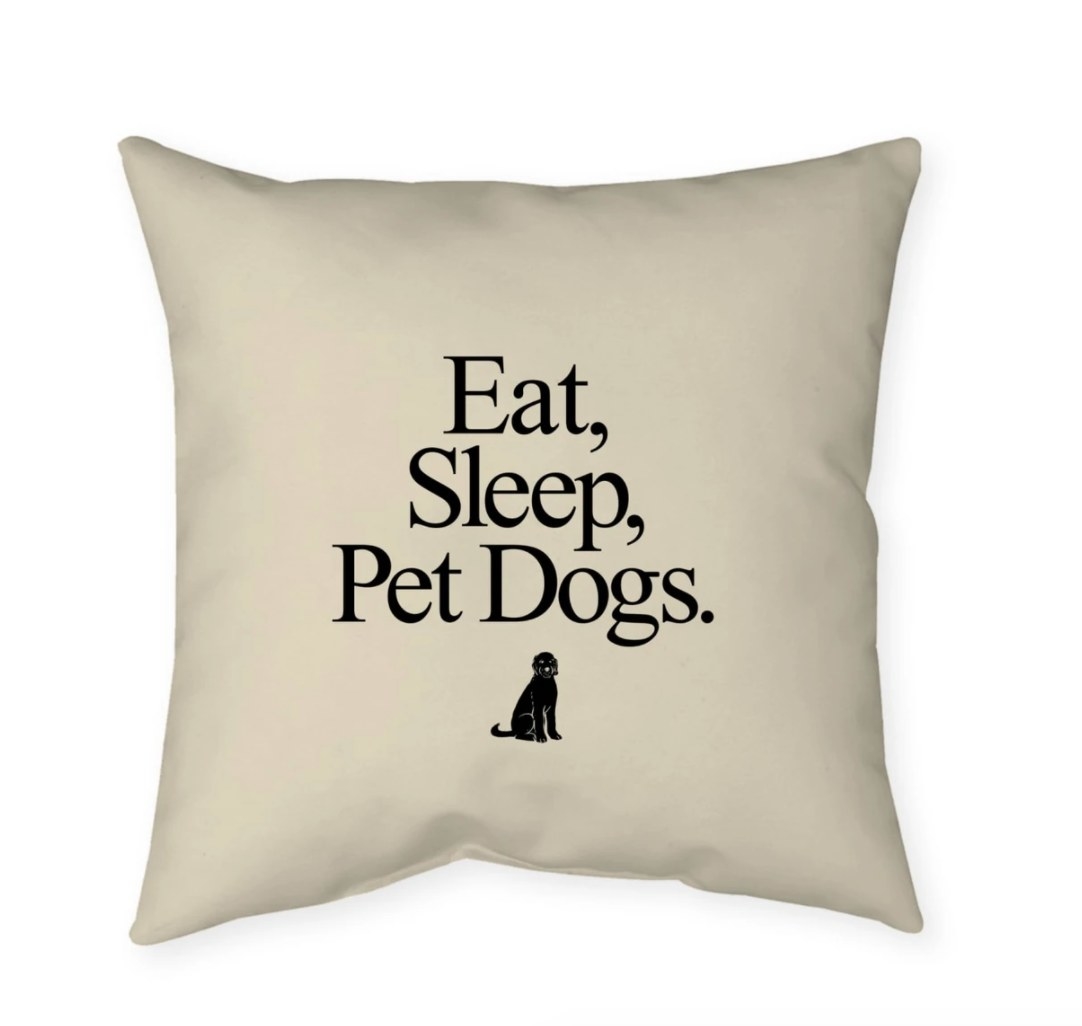 The pillow which reads &quot;eat, sleep, pet dogs.&quot;
