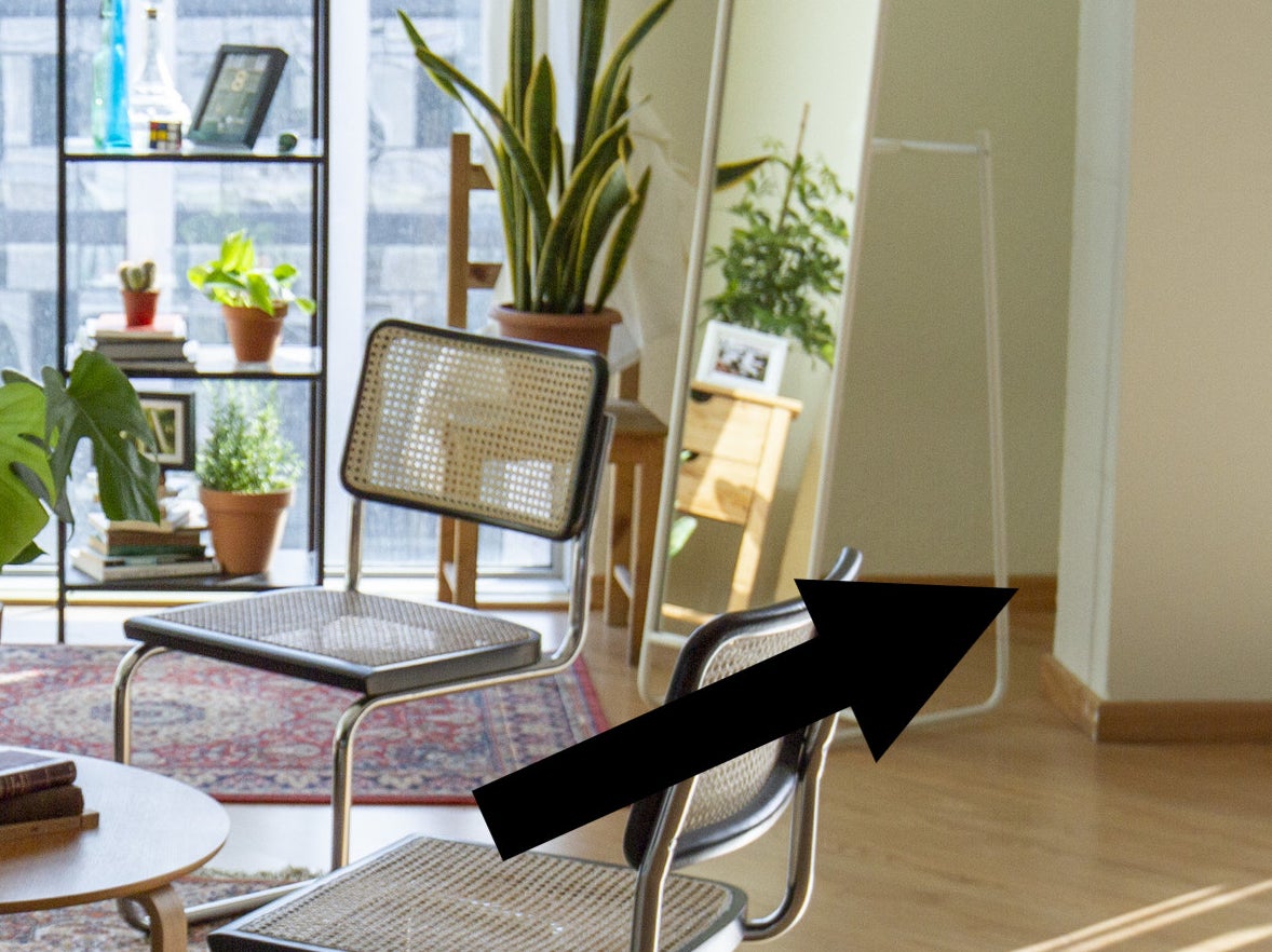Living room space decked out with plants, a couch, and chairs