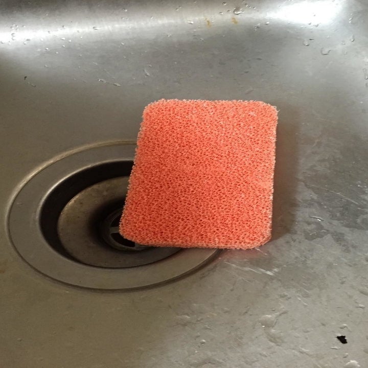 The sponge on the bottom of a reviewer's sink