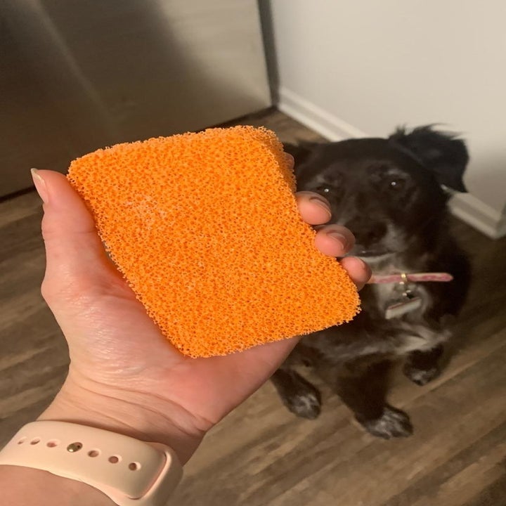 A reviewer holding the sponge in orange
