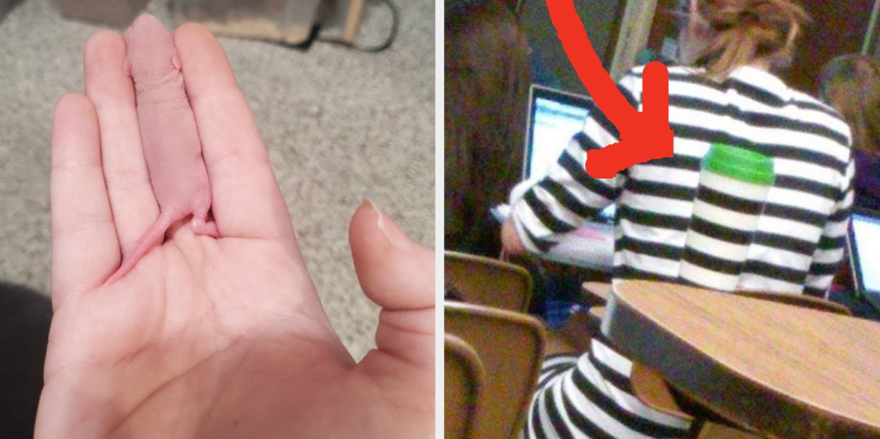 Image of this social media content