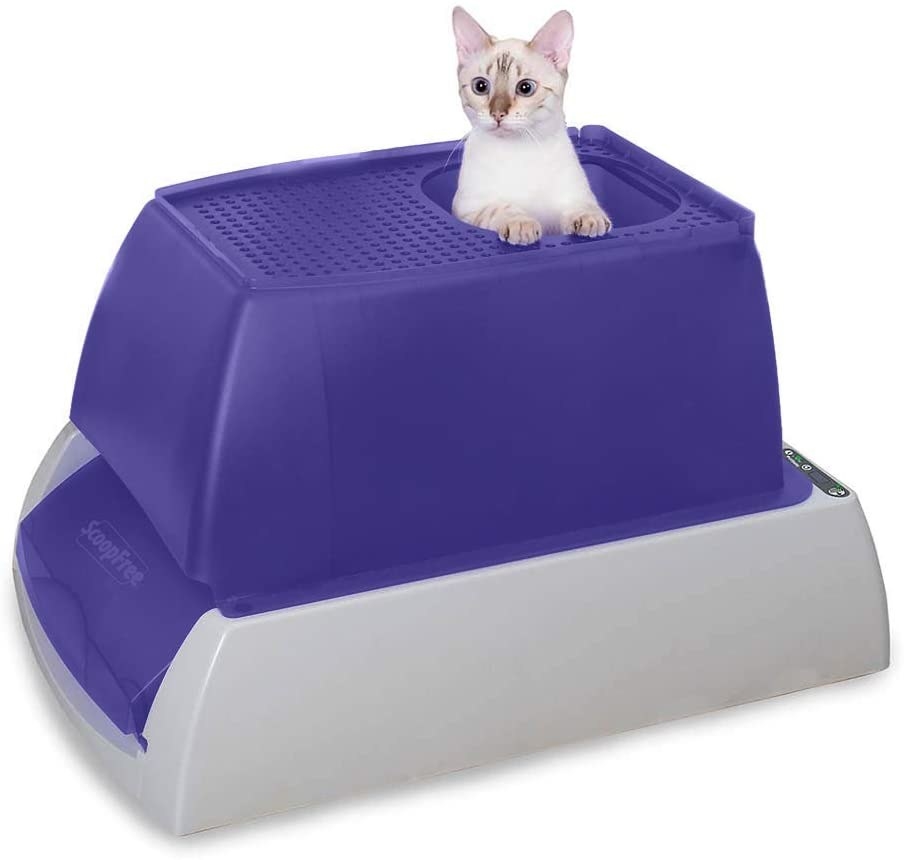 Cat exiting the automatic litter box