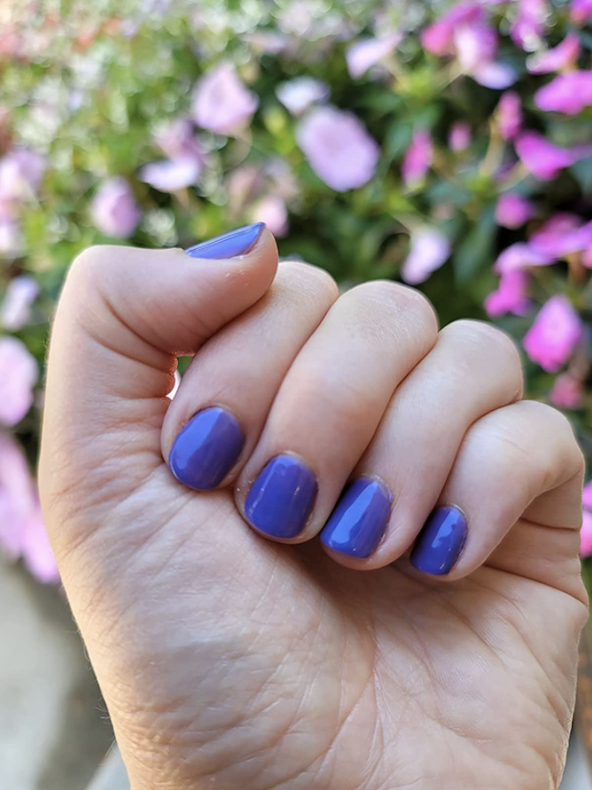 reviewer&#x27;s painted nails with a professional salon look