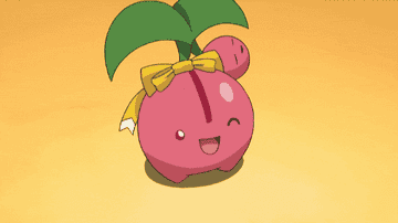 Cherubi winking