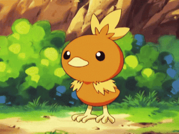 Torchic jumping and chirping