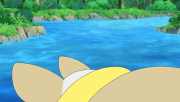 Yamper looking up with its tongue out