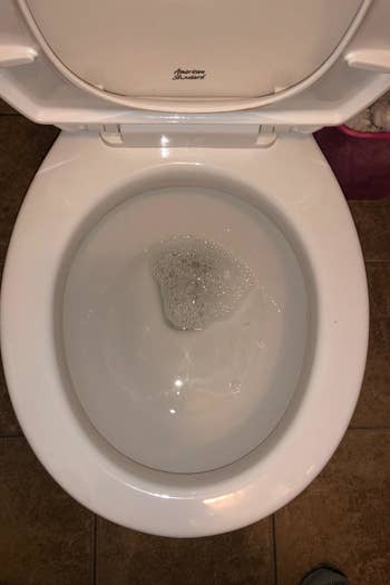 a reviewer photo of the same toilet now clean