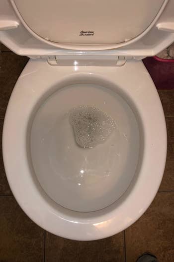 a reviewer photo of the same toilet now clean