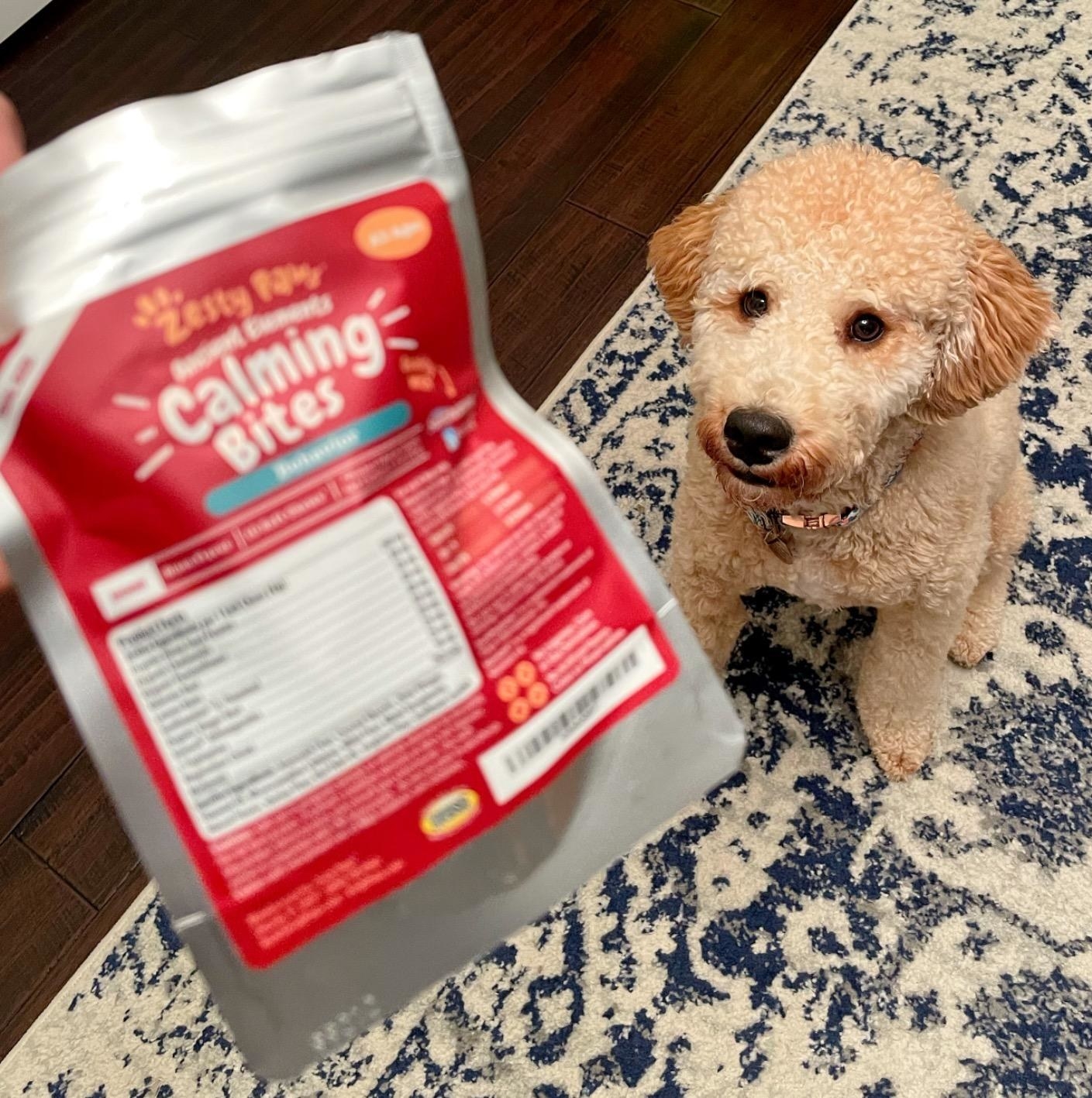 reviewer image of a pack of calming bites next to a sitting dog