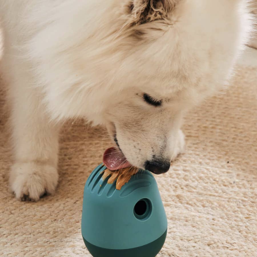 These Puzzle Toys for Dogs Are All Over TikTok and Sold on