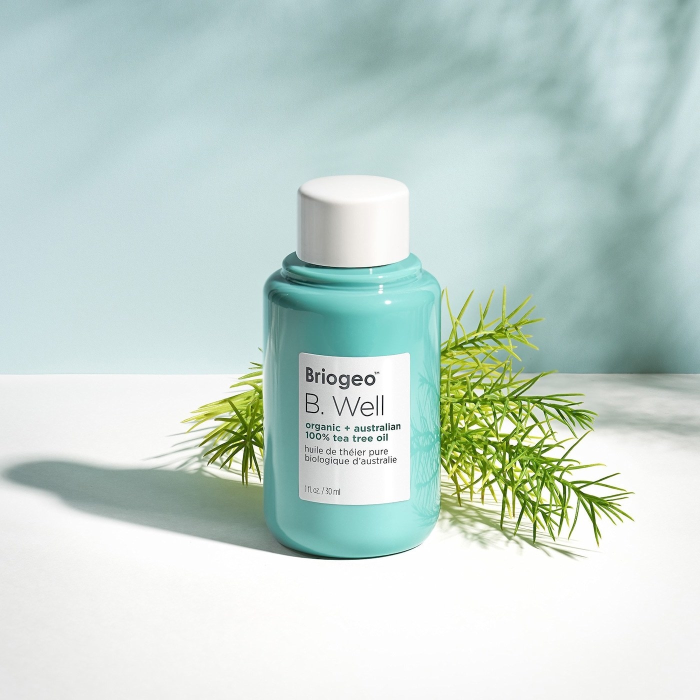 a bottle of tea tree oil styled with fresh greenery