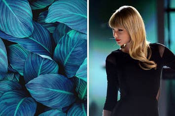 Blue leaves are on the left with Taylor Swift singing on stage
