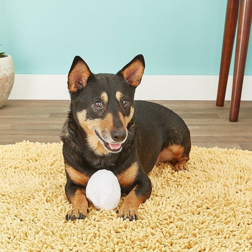 little doggie with plush egg pocket toy