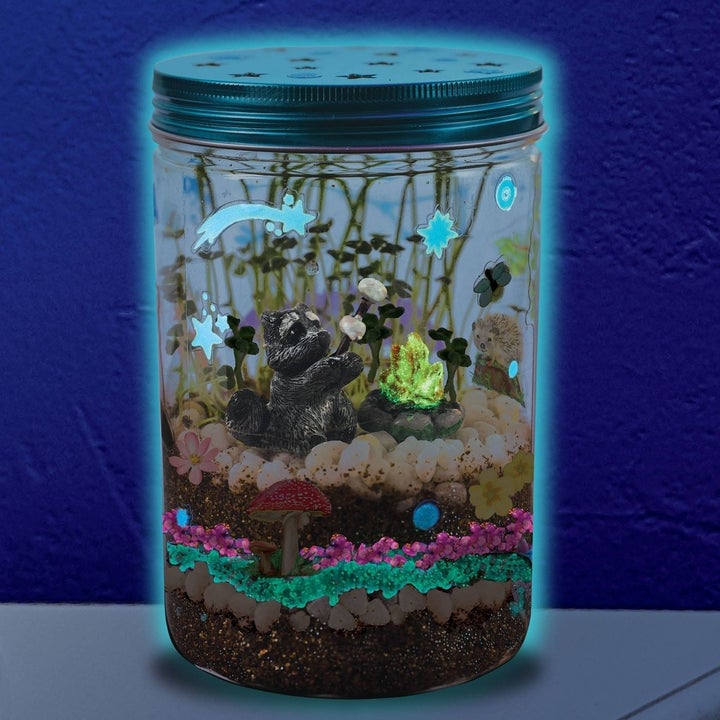 Glow n grow terrarium kit