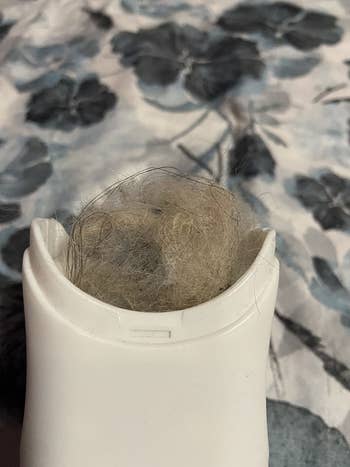 Pet brush filled with pet hair