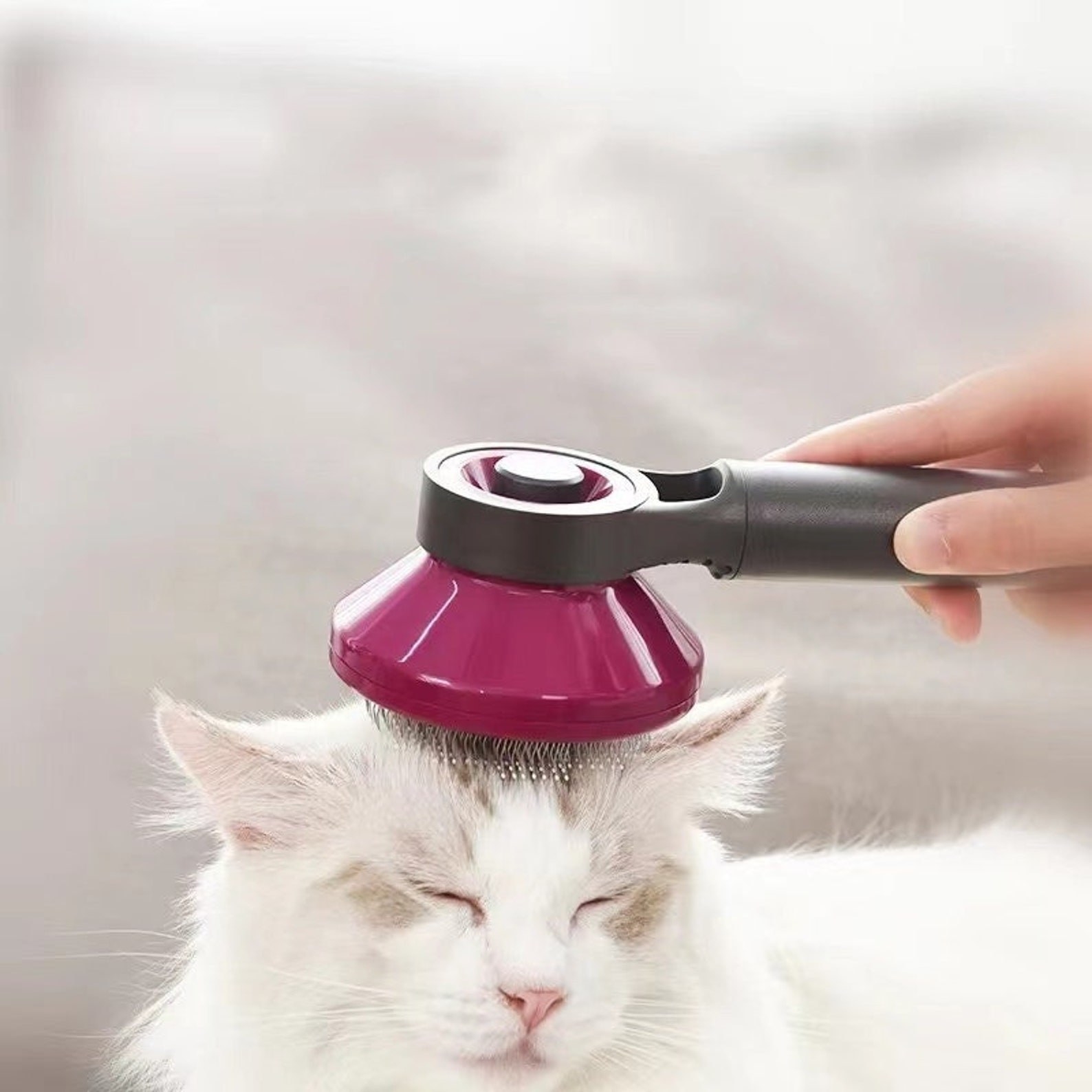 Model using brush on kitten