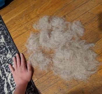 Reviewer with hand next to giant pile of fur