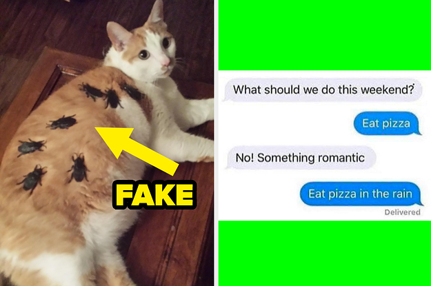23 Funny Boyfriends Who Are Honestly Very Good Husband Material
