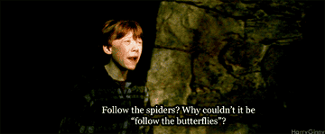 Ron Weasley walks into the dark forest and says, &quot;Follow then spiders? Why couldn&#x27;t it be follow the butterflies?&quot;
