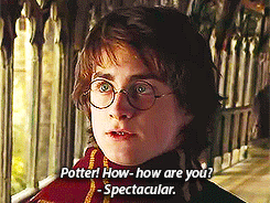 A close up of Harry as he says, &quot;Spectacular&quot;