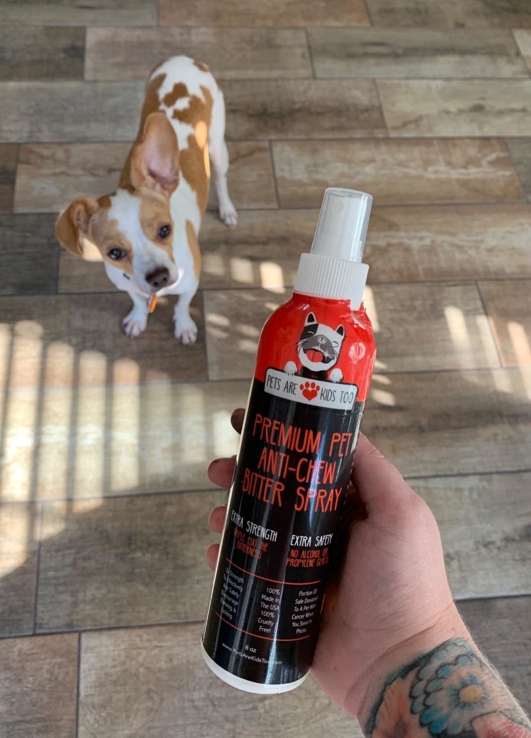a reviewer holding up the spray bottle in front of their small dog
