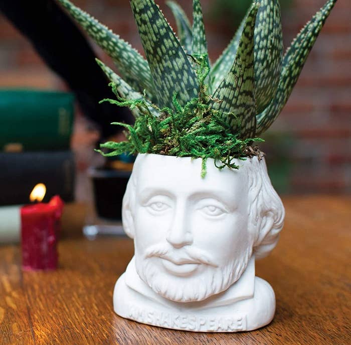 The plant pot on a table with a snake plant inside of it