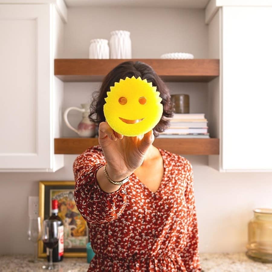 Meet the Scrub Daddy Product Family  Smiling Scrubbers, Sponges, Erasers,  Souring Pads & More