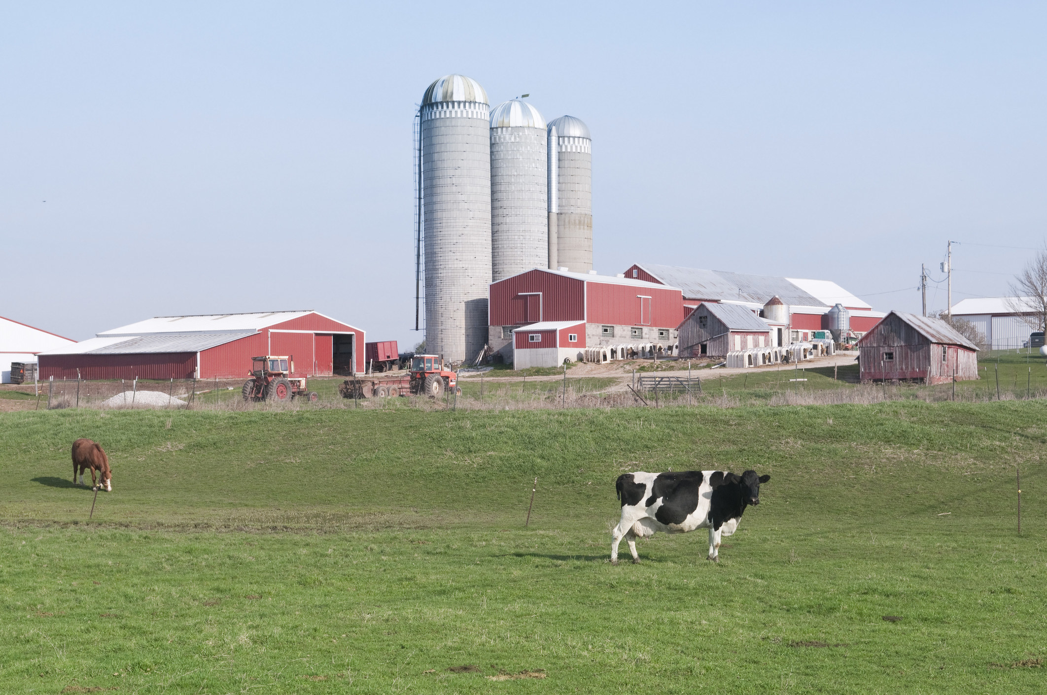 A Wisconsin dairy farm