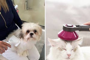 Reviewer using drying tool on dog, model using brush on cat