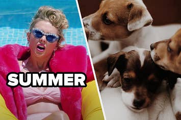 Taylor Swift is in a floatie on the left labeled, "summer" with puppies on the right