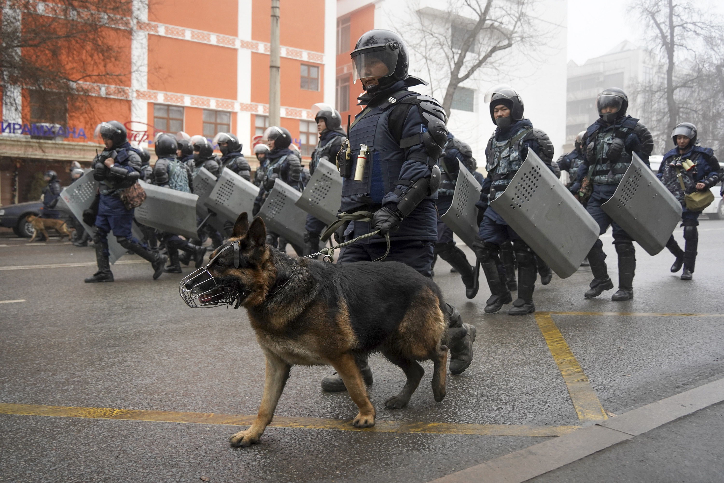Police, one with a very large dog on a leash and muzzled, march in riot gear and carry shields