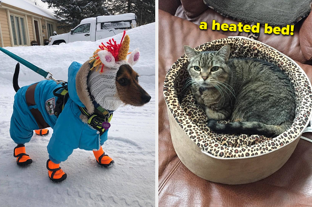 https://img.buzzfeed.com/buzzfeed-static/static/2022-01/21/6/campaign_images/6b9bf9fb9bb2/16-earmuffs-to-save-you-on-winter-days-when-its-n-2-5831-1642745709-1_dblbig.jpg
