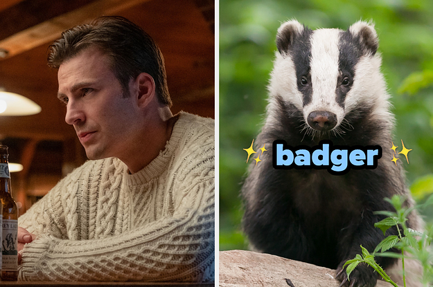 Everyone Has An Animal That Perfectly Matches Their Personality — Pick One Movie Per Group To Reveal Yours