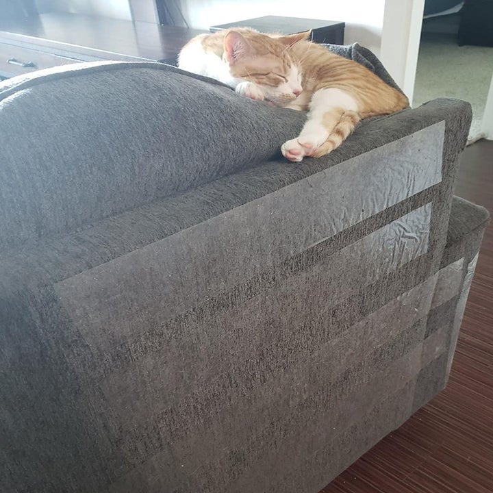 Reviewer photo of the clear protector on the the back of a couch