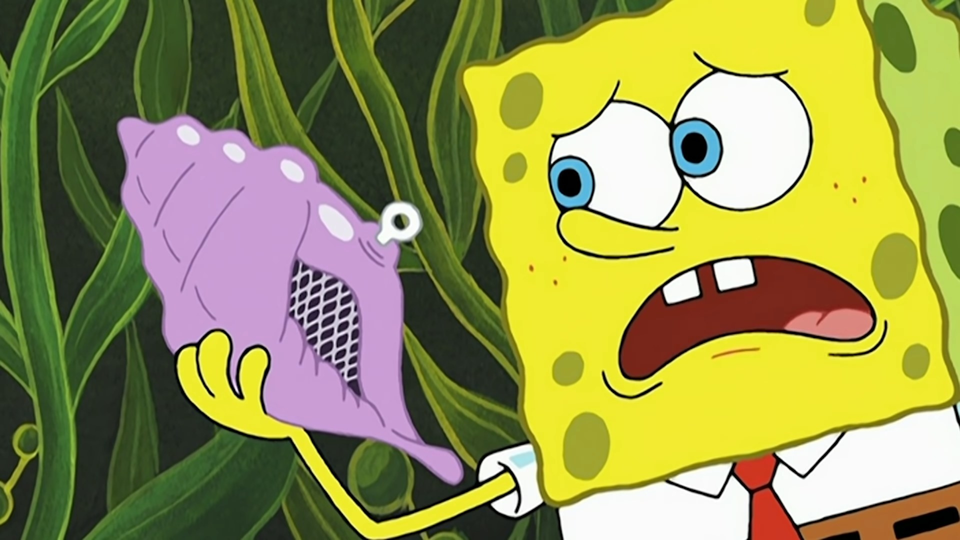 Spongebob with the magic conch