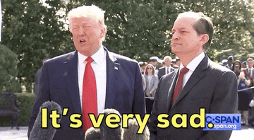 Gif of Donald Trump saying &quot;It&#x27;s very sad&quot;