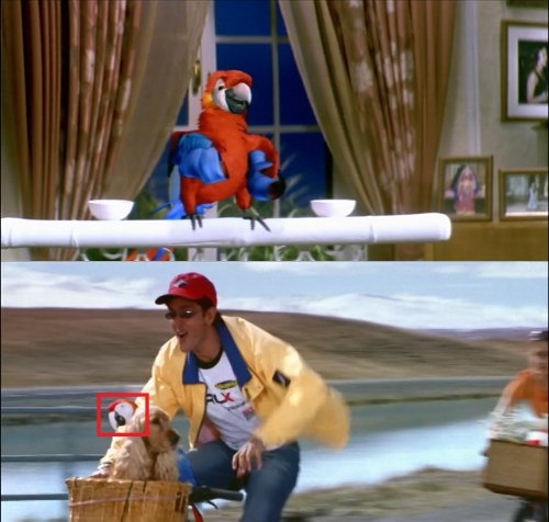 A collage of an animated parrot and Hrithik Roshan riding a bicycle with a toy parrot in the basket