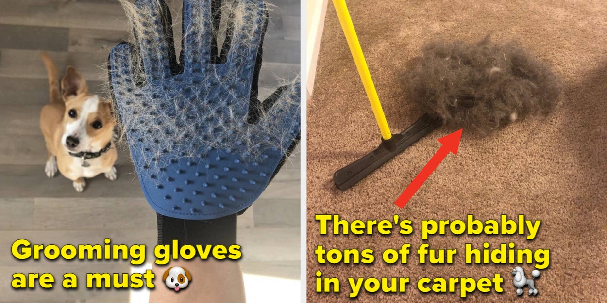 28 Things For Anyone Whose Pet Sheds A Lot….Like All Day,
Every Day