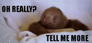 A gif of a baby sloth